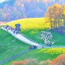 고요목장 이미지