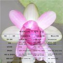 에니어그램심리연구소 이미지