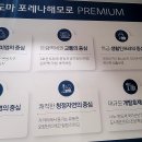 도마네거리 이미지