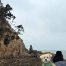 천사대교 관광안내소 | 동반 1박2일 신안여행-퍼플섬,동백파마머리벽화,무한의다리,천사대교관광안내소,1004섬분재정원(260129-30)