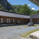 삼화사 티스토리