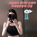 성현아 카카오 검색결과