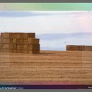 생활 속 경제 이야기 | 최저 임금 정책과 국민총생산의 관계생활 속 경제 이야기