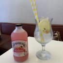 동백아가씨1961 이미지