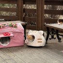 양지내과의원 이미지