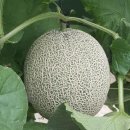 여산농장 이미지