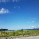 (유)본렌터카 이미지