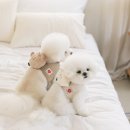 (주)펫츠랜드 이미지