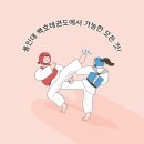 용인대 백호 태권도장 이미지