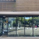 오라셀세모 이미지