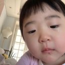 날마다금촌