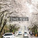 세븐일레븐 평택은혜로점 | 2026 평택 벚꽃명소는 어디일까 6곳 정리