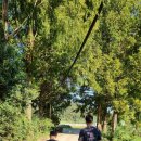 탑(TOP) 승마클럽 | 진주승마체험,탑승마클럽,진주어린이승마교실