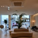 로이성형외과의원 이미지