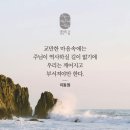 연민 이미지