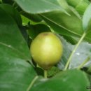 아림농장 이미지