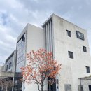 연신로 | 제주 아기랑 맛집 제주시 보양식 ‘작은바람’ 오리탕 점심 후기 | 내돈내산 현지인 추천