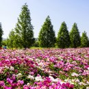 합천푸드뱅크 Daum카페