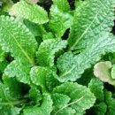 용운농장 이미지