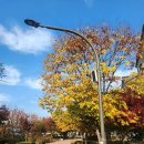 신동수변 이미지