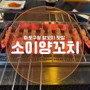 마포구청 | 마포구청 양꼬치 맛집 소이양꼬치 내돈내산 후기