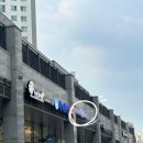 까사리까 이미지