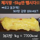 오성희점핑&힐링다이어트 네이버블로그