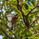 동호유적근린공원 이미지