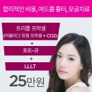 브이엘