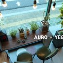 멍멍아 놀자 이미지