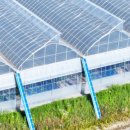 (주)서진팜 이미지