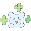 수지비빔밥 이미지