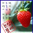 산뜰 이미지