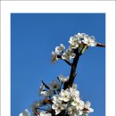 성환-08 이미지
