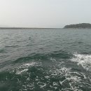 오동도유람선 이미지