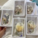 [WEDDING] 제주 스냅 부케 말리기 수에룬 💐