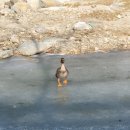 신림작은목욕탕 네이버블로그