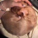 그때그시절 숨겨진 정원 이미지