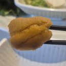 울진싱싱막회 | 가로수길 맛집 술집 네기실비 고급 오마카세 횟집 감성 해물포차(+야장있어요)