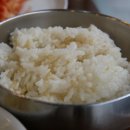 햄바라기 이미지