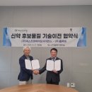 플루토