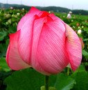 정*삼 - 미추홀구 경원대로851번길 50 | 정*삼