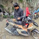 스테이자유 이미지