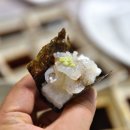 사량도횟집 이미지