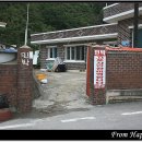 도 경계 도화동산 네이버블로그