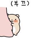 금빛사진관