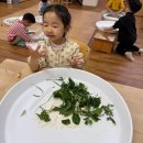 자유유치원 | 제주 IB학교 병설유치원 두달 보내본 후기, 장점 커리큘럼 특징