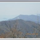 마복 이미지