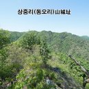 곤룡쉼터 네이버블로그