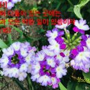 (주)선한농장 이미지